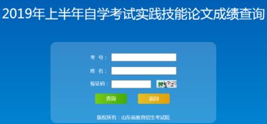 山东省2019年上半年自学考试实践技能与论文成绩查询指南及技术支持说明